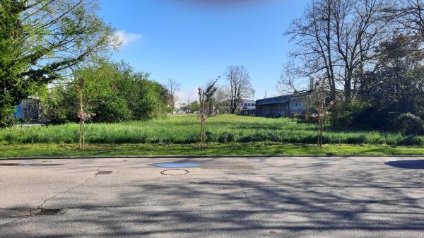 Veterinaria odslej pod rožnatimi cvetovi