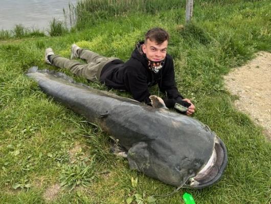 FOTO: David Škrinjar ujel soma velikana