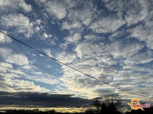 Teden prinaša pomladne spremembe