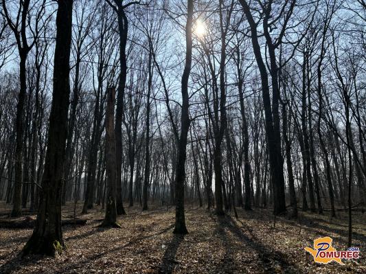 Sonce danes, nevihte jutri