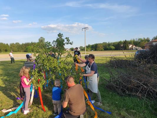 FOTO: Mlaj v Gaberju – Tradicija, ki živi in povezuje skupnost