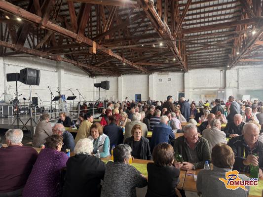 FOTO in VIDEO: Praznik povezanosti in tradicije: 20. srečanje upokojencev Pomurja
