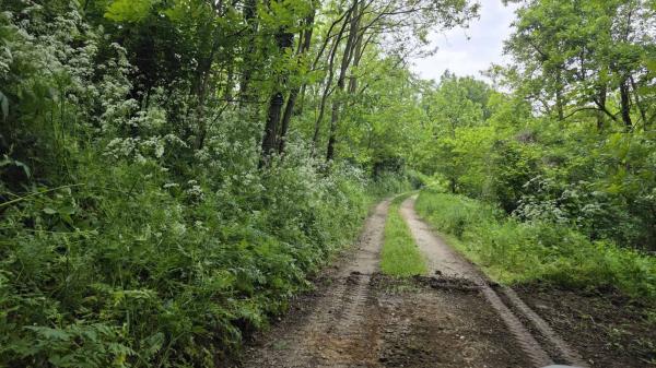 Nadaljevanje sanacije javnih poti v Pincah