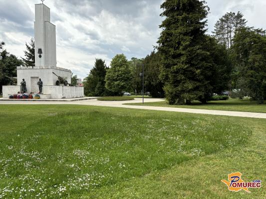 FOTO: Sredi Trga zmage prostor tudi za čebele