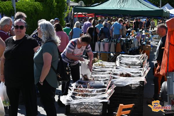 FOTO in VIDEO: Križani četrtek v Kuzmi privabil številne obiskovalce