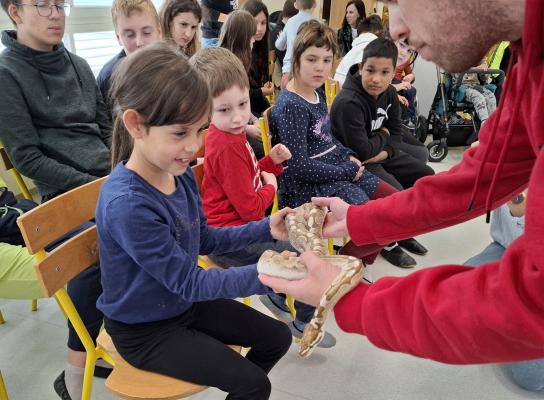 FOTO: Osnovnošolci spoznavali male eksotične prijatelje