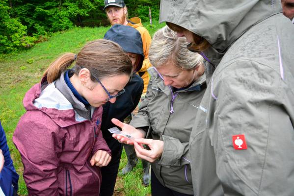 FOTO: Usposabljanje za prepoznavanje divjih opraševalcev na Goričkem