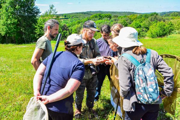 FOTO: Delavnica o divjih opraševalcih na Goričkem