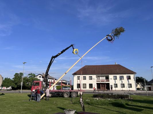 FOTO: V Veržeju postavili majpan