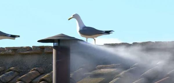 Bel dim, imamo papeža