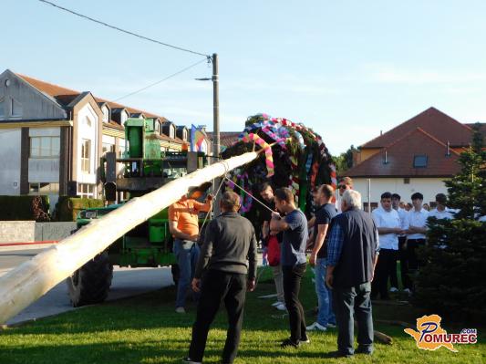 FOTO: Gasilci v Beltincih skupaj z mladimi letošnjimi regruti postavili prvomajsko drevo