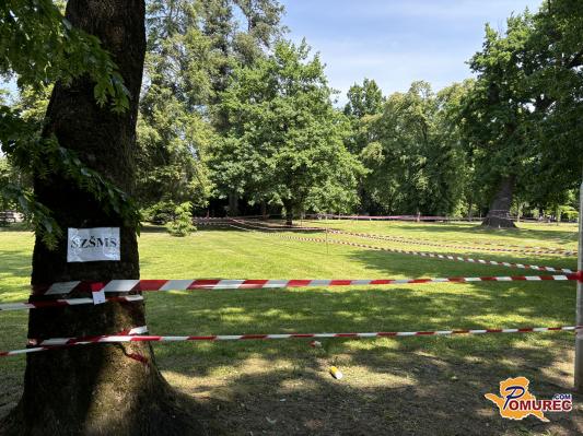 FOTO in VIDEO: Mesta v soboškem parku so že rezervirana