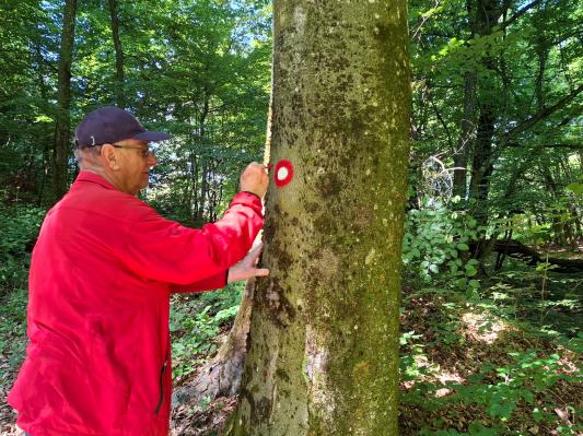 FOTO: Pomurska planinska pot ostaja varna zahvaljujoč vztrajnim markacistom
