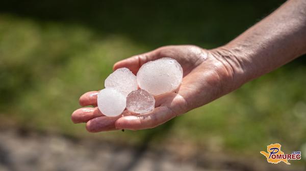 Po neurju na Goričkem lahko prosijo za denarno pomoč