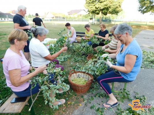FOTO: V Lipi so trgali lipovo cvetje