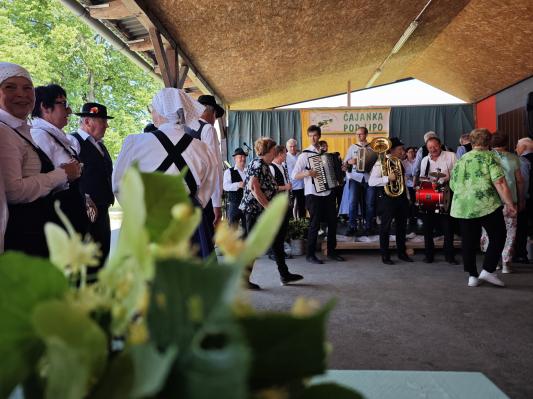 FOTO: Pesem, ples in druženje pod lipo v Vadarcih znova navdušili