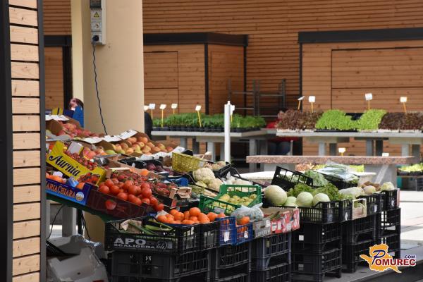 Koliko hrane ima na voljo povprečen Slovenec?