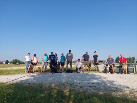 FOTO: Čofotanje, repki in veselje – pasji tečajniki ujeli poletni trenutek