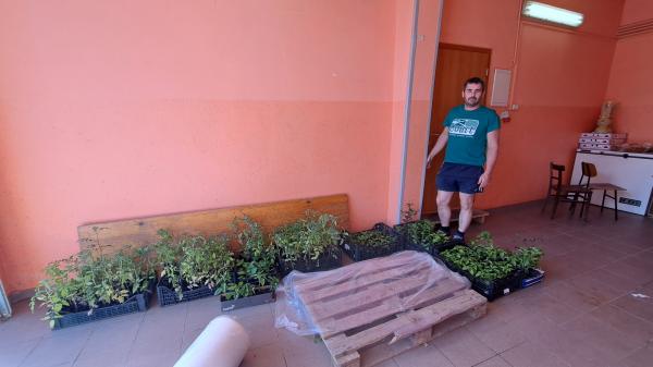 Obljubo je izpolnil: sadike je dostavil v Gornje Petrovce