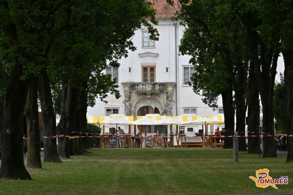 FOTO in VIDEO: Ulični okusi sredi zelenja – Sočna vilica v teku