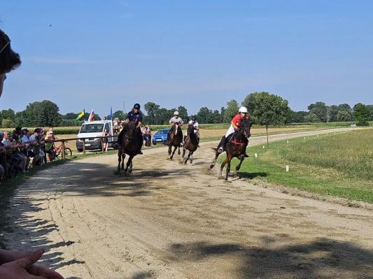 FOTO: Kasaška tradicija v Križevcih znova združila številne obiskovalce in ljubitelje konj