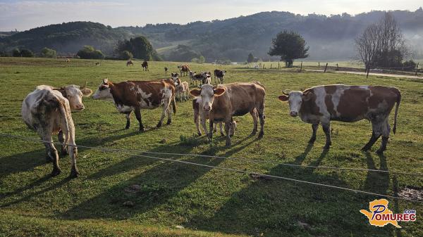 Pomurje skozi objektiv: natečaj »Utrinki s podeželja« znova odpira vrata