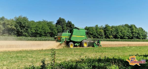 VIDEO: Sušno poletje prineslo zgodnjo žetev – kaj pravijo kmetje?