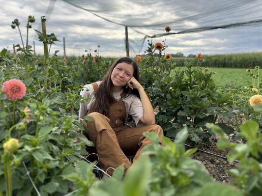 Dalije iz Prekmurja: Zgodba Irena’s Flower Farm
