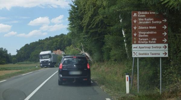 FOTO: Previdno, oviran promet zaradi podrtega drevesa