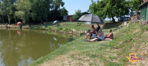 FOTO: V Petišovcih skupaj ujeli 300 sladkovodnih rib