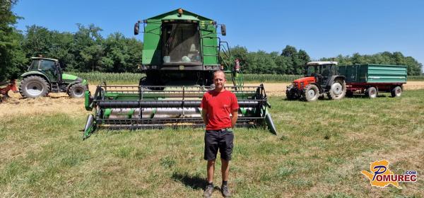 FOTO: Pomurje v znamenju žetve: Pridelka manj, kakovost slabša, a delo ostaja ekipno