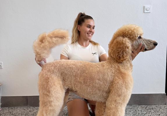 Znana Prekmurka stopila na novo poslovno pot