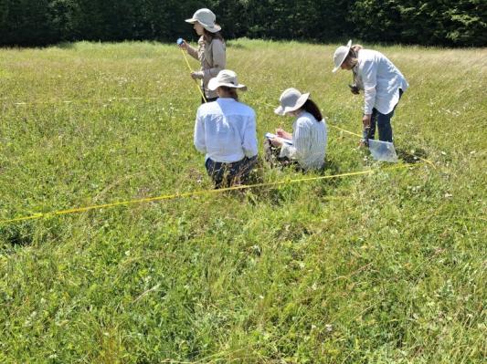 FOTO: Vzpostavljanje semenske banke in revitalizacija travnikov se nadaljujeta