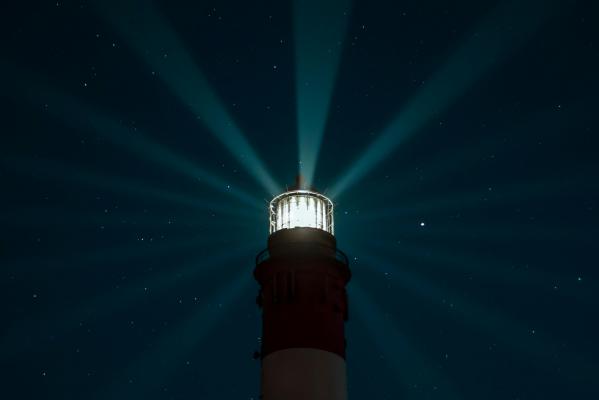 10 bizarnih dejstev, ki jih niste vedeli