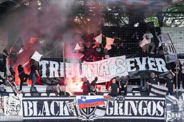 Black Gringosi napovedali bojkot tekem Mure