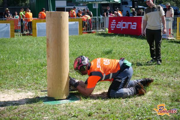 FOTO in VIDEO: Motorne žage zarohnele v Gornji Radgoni