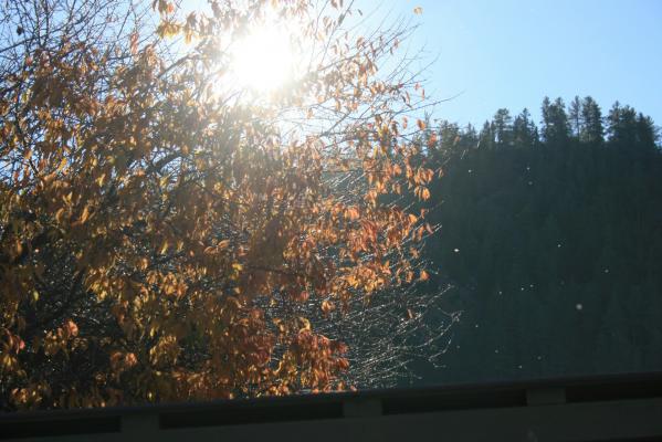 Danes bo razmeroma sončno, jutra bodo sveža