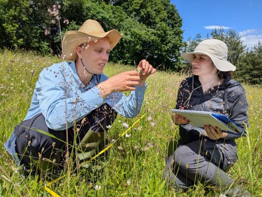 FOTO: Od Goričkega do Triglava: Po poteh divjih trav in cvetja