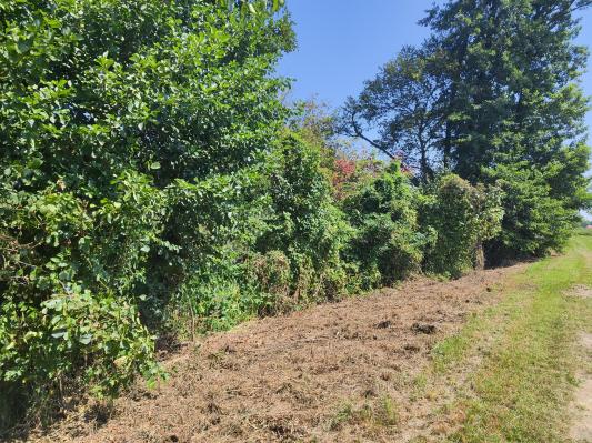 FOTO: Na Hotizi in v Kotu se začenjajo dela na starem rokavu reke Mure