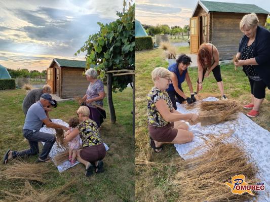 FOTO: Člani Turističnega društva Bogojina prikazali ročno čiščenje semena iz lanenih glavic