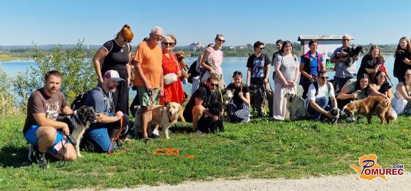 FOTO in VIDEO: Pasja zabava ob Soboškem jezeru privabila ljubitelje psov