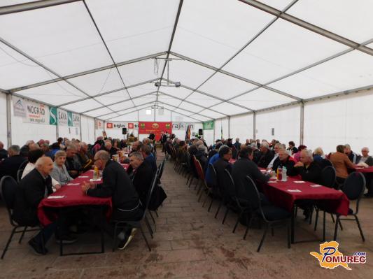 FOTO: Srečali so se gasilski veterani Gasilske zveze Križevci