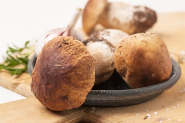 VIDEO: Ste vedeli, kako hitro zrastejo jurčki?