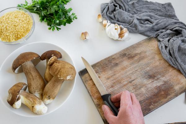 Sedem jedi za sedem dni z gobami