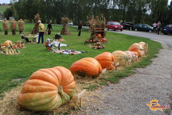 FOTO in VIDEO: Bučarija v znamenju rekorda - nova kraljica buč in 20-metrska rulada
