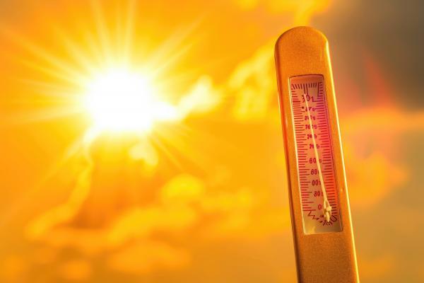 Je bilo letošnje poletje res tako vroče in suho? Poglejte številke!