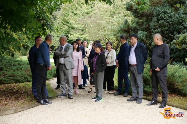 VIDEO: Iz daljne Kitajske v srce Pomurja – drevo, ki povezuje svetove