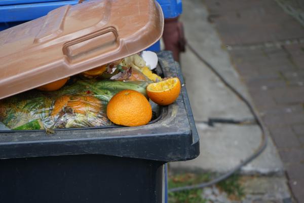 Letos nastalo več odpadne hrane kot leto prej