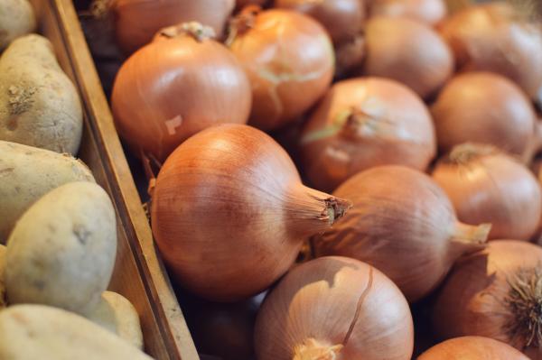 Slovenska čebula ostala v skladišču zaradi tveganja