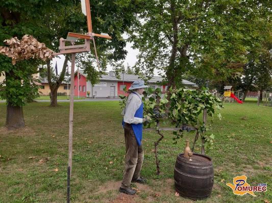 V središču Renkovcev zaživela jesenska trgatev